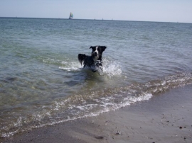 Strand Strand